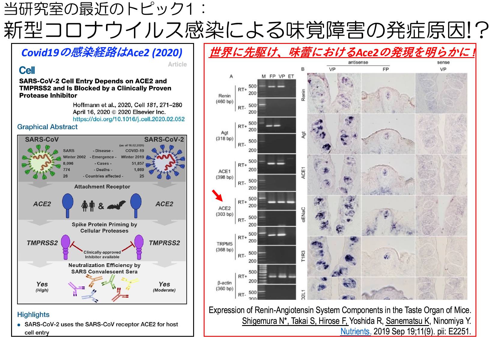 �����Љ�3