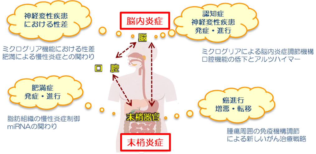 口腔機能分子科学分野素材